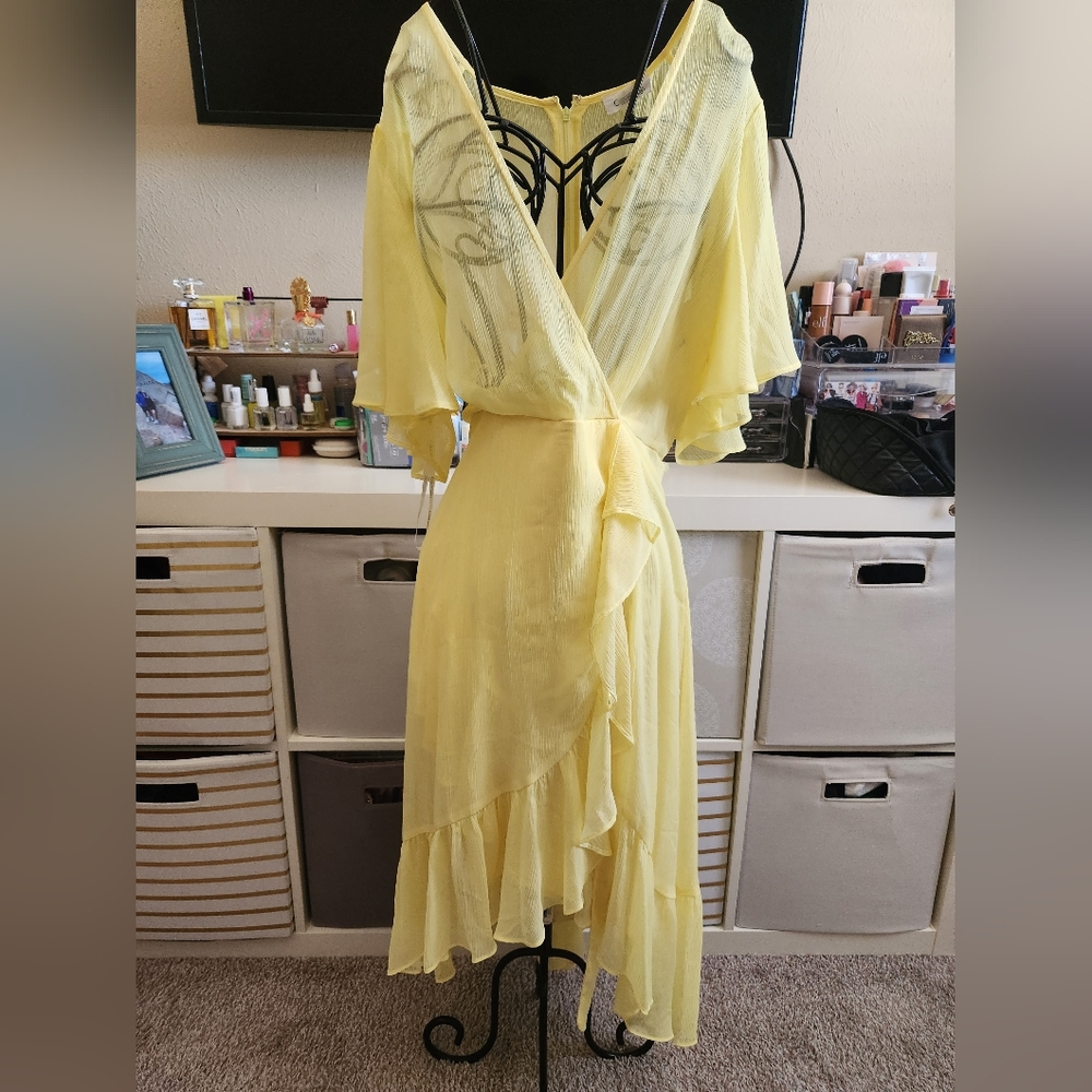 Ck dress